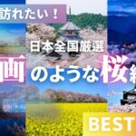 日本の春を満喫！一度は訪れたい絶景桜名所7選