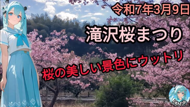 滝沢桜まつり　令和7年3月9日