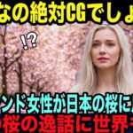 【海外の反応】「こんな風景はありえない!CGでしょ?」桜に魅了されたフィンランド人女性が日本と世界を繋ぐ桜の逸話に感動の涙!!