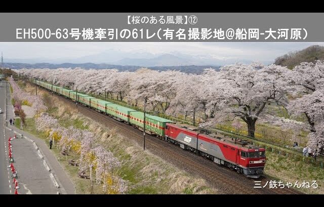 【桜のある風景】⑫　EH500-63号機牽引の福山レールエクスプレス （有名撮影地@船岡 大河原）2023年